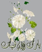 القلب رمز الحياة للشيخ محمد حسان 67185